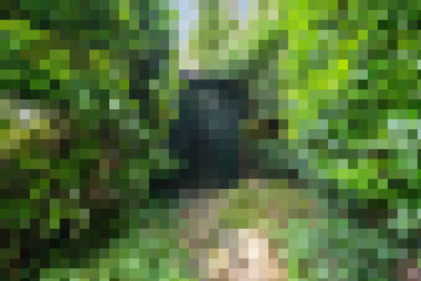 Horsterhof 1 Ermelo thumbnail 33