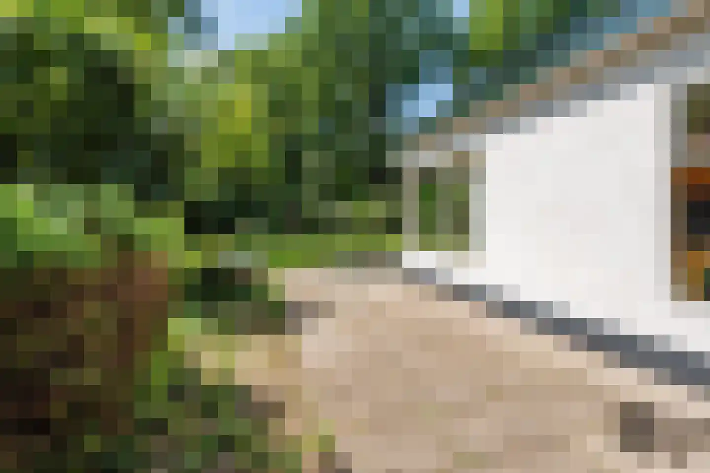 Horsterhof 1 Ermelo thumbnail 36
