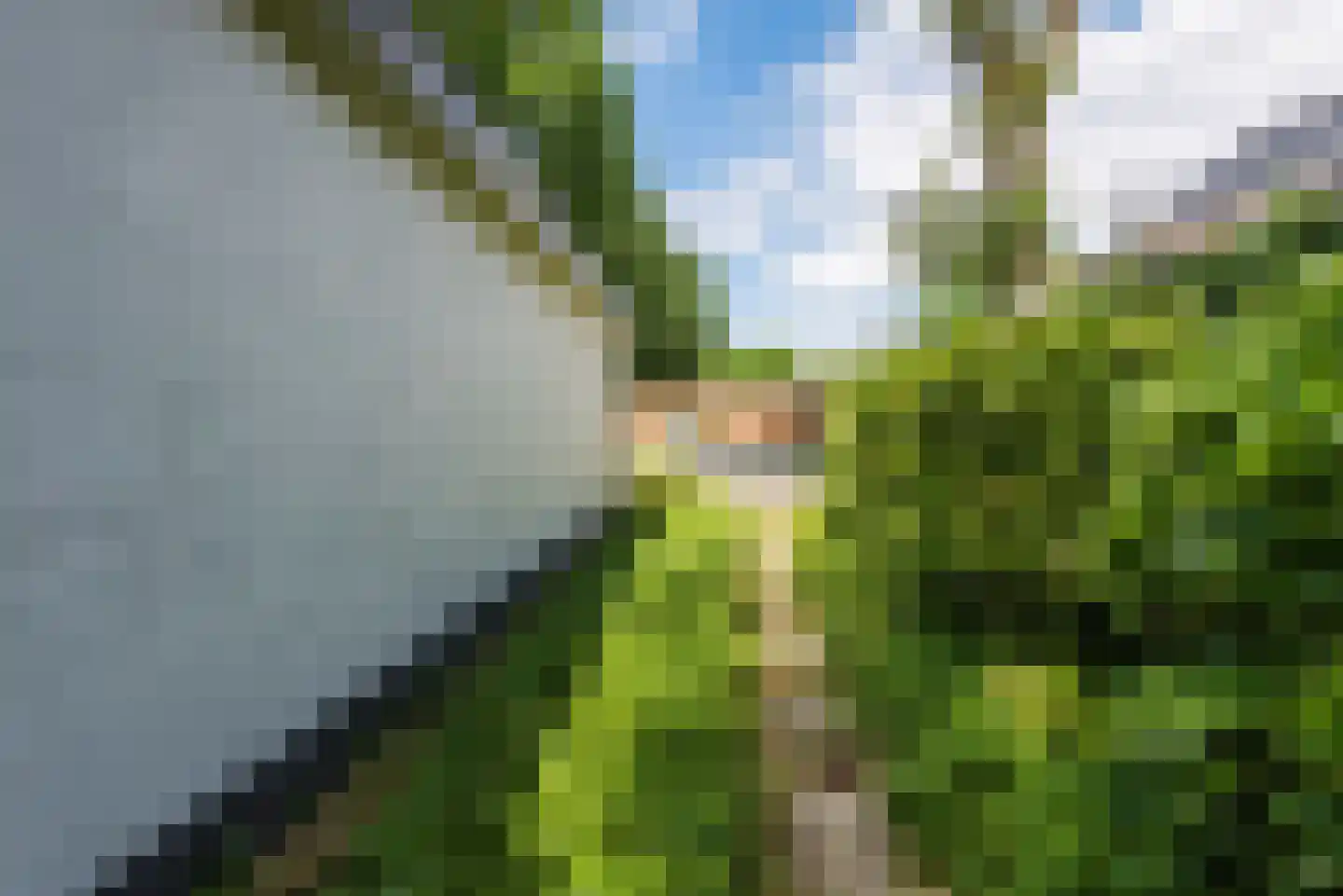 Horsterhof 1 Ermelo thumbnail 39