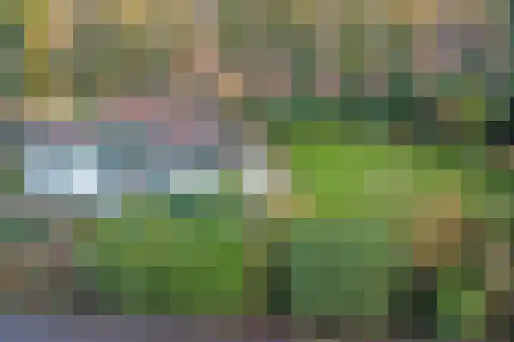 Horsterhof 1 Ermelo thumbnail 4