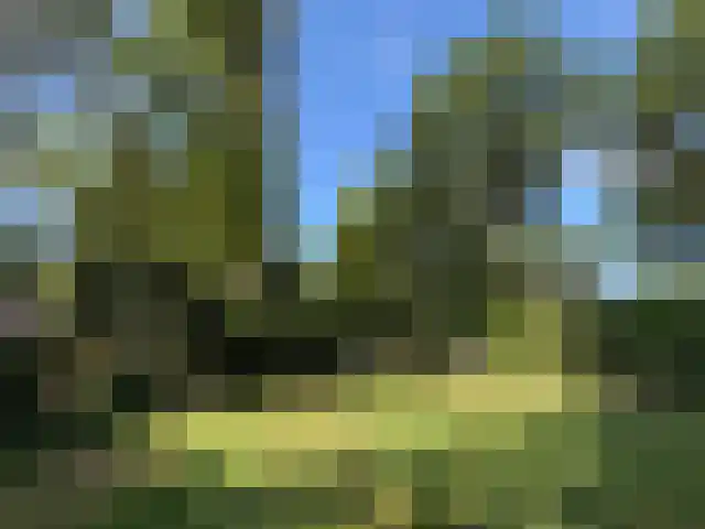 Horsterhof 1 Ermelo thumbnail 46