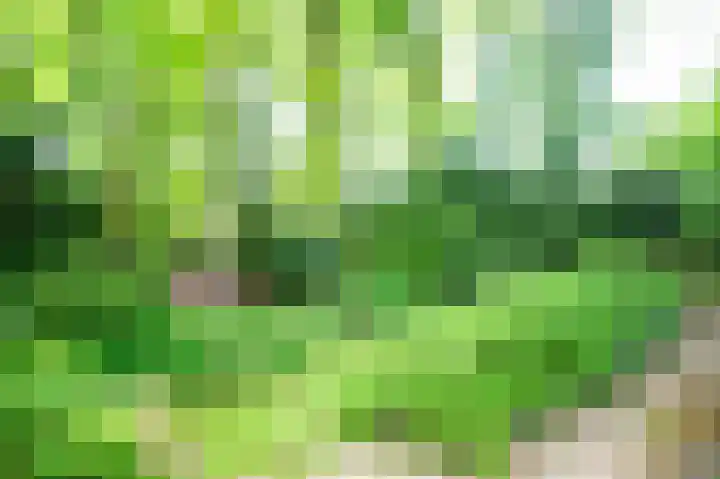 Horsterhof 18 Ermelo thumbnail 27