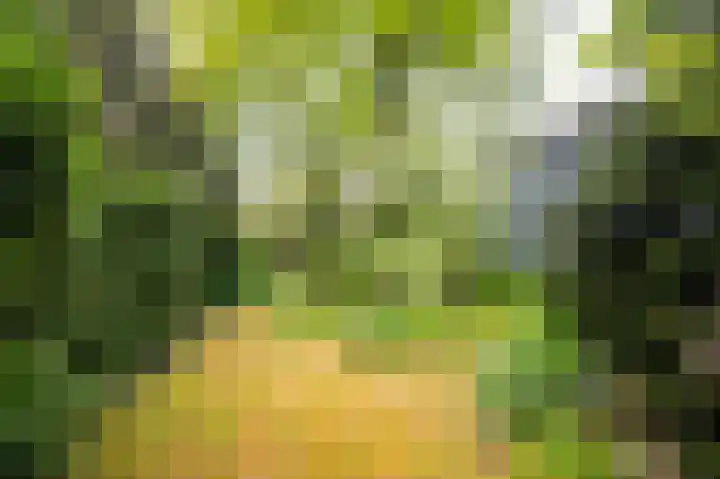 Horsterhof 18 Ermelo thumbnail 28