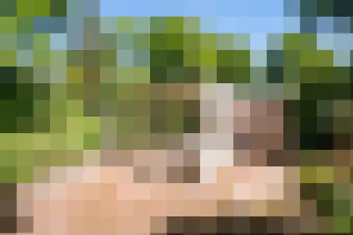 Horsterhof 20 Ermelo thumbnail 27
