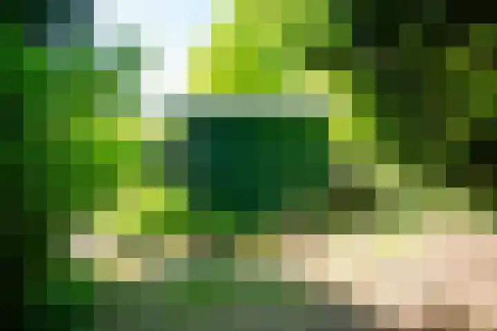 Horsterhof 20 Ermelo thumbnail 28