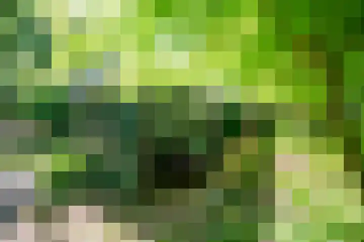 Horsterhof 20 Ermelo thumbnail 29