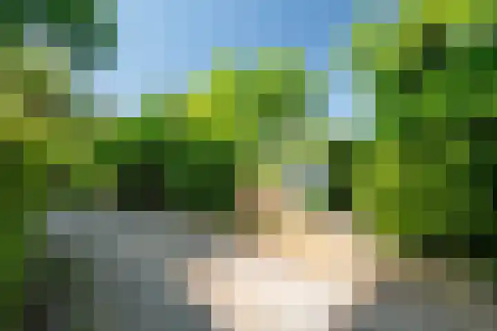 Horsterhof 20 Ermelo thumbnail 30