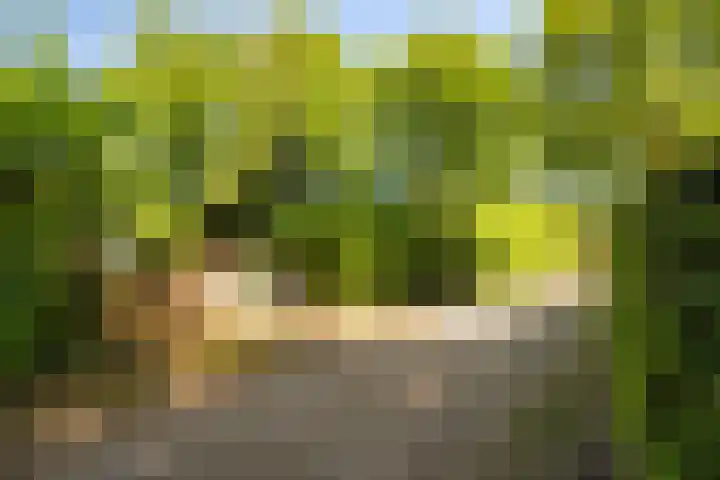 Horsterhof 20 Ermelo thumbnail 31