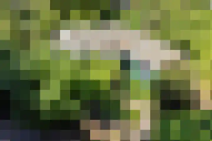 Horsterhof 20 Ermelo thumbnail 32
