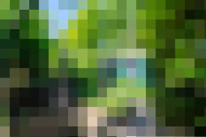 Horsterhof 20 Ermelo thumbnail 34