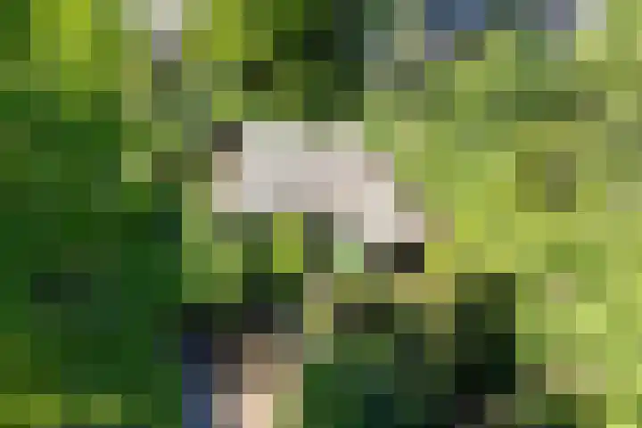 Horsterhof 20 Ermelo thumbnail 4