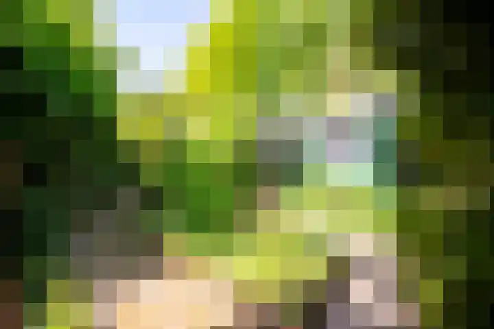 Horsterhof 20 Ermelo thumbnail 5