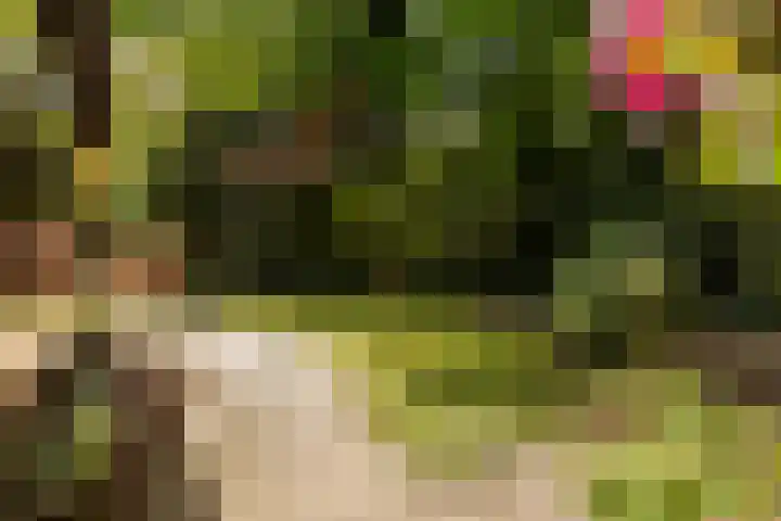 Horsterhof 30 Ermelo thumbnail 24