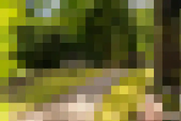 Horsterhof 30 Ermelo thumbnail 25