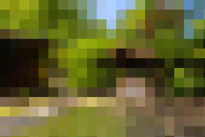 Horsterhof 30 Ermelo thumbnail 26