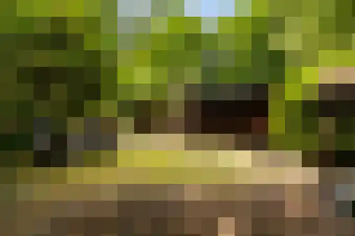 Horsterhof 30 Ermelo thumbnail 27