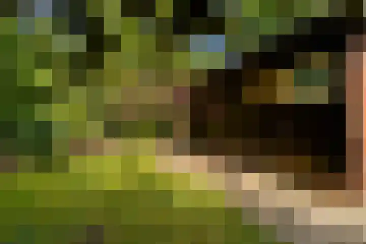 Horsterhof 30 Ermelo thumbnail 28