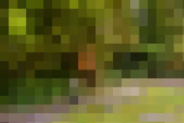 Horsterhof 30 Ermelo thumbnail 29