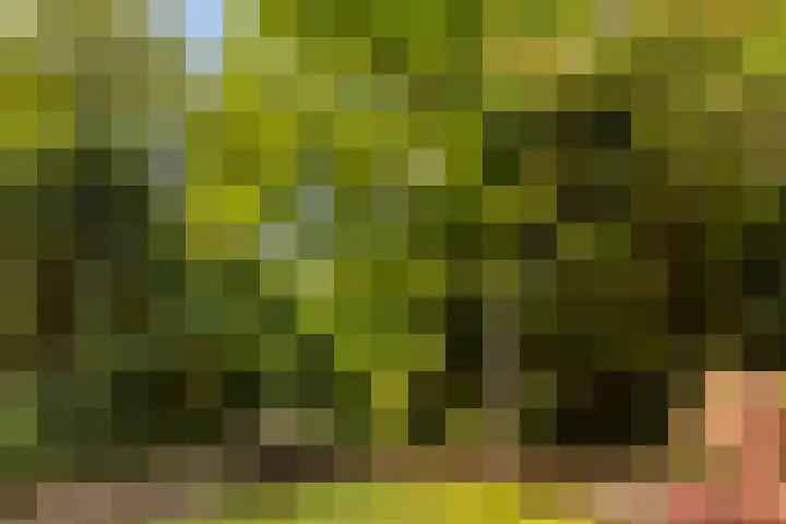 Horsterhof 30 Ermelo thumbnail 31