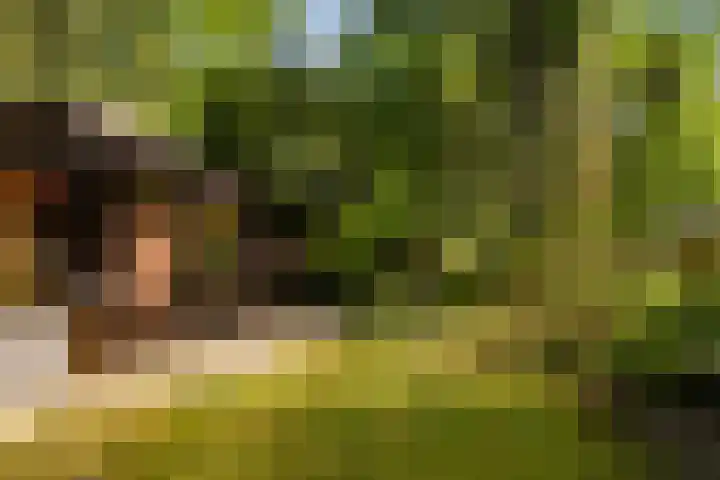 Horsterhof 30 Ermelo thumbnail 33