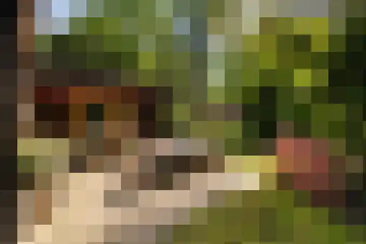 Horsterhof 30 Ermelo thumbnail 36