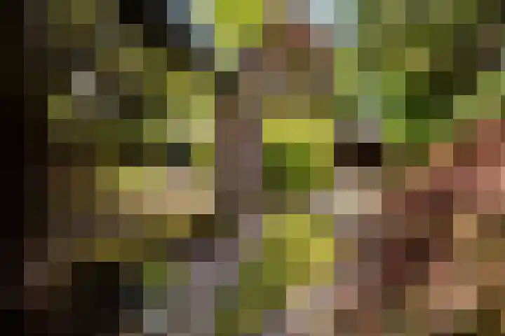 Horsterhof 30 Ermelo thumbnail 38