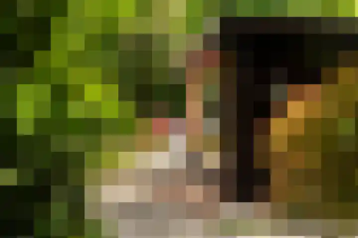 Horsterhof 30 Ermelo thumbnail 39