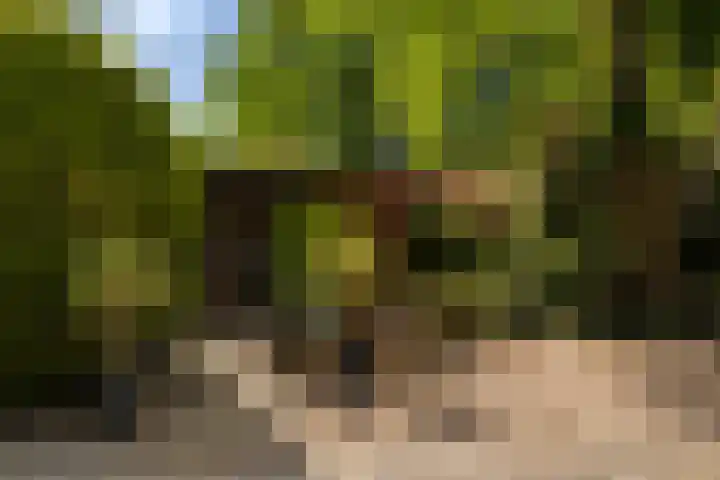 Horsterhof 30 Ermelo thumbnail 4