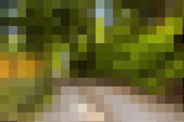 Horsterhof 30 Ermelo thumbnail 42