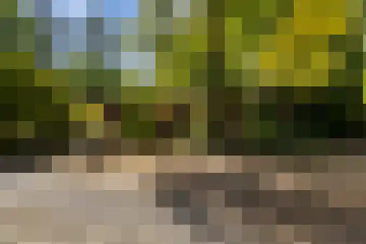 Horsterhof 30 Ermelo thumbnail 45