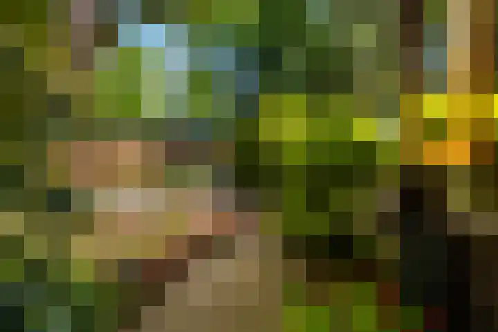 Horsterhof 30 Ermelo thumbnail 5