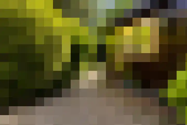 Horsterhof 30 Ermelo thumbnail 6