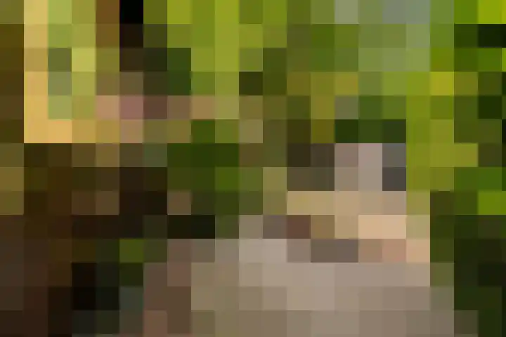 Horsterhof 30 Ermelo thumbnail 7