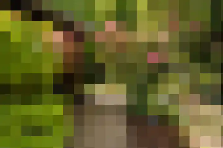 Horsterhof 30 Ermelo thumbnail 8