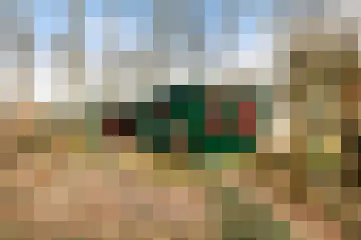 Horsterhof 9 Ermelo thumbnail 33