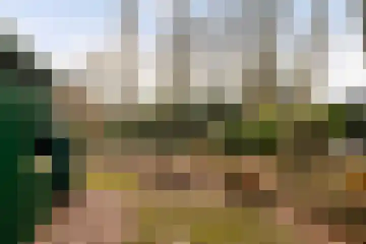 Horsterhof 9 Ermelo thumbnail 34