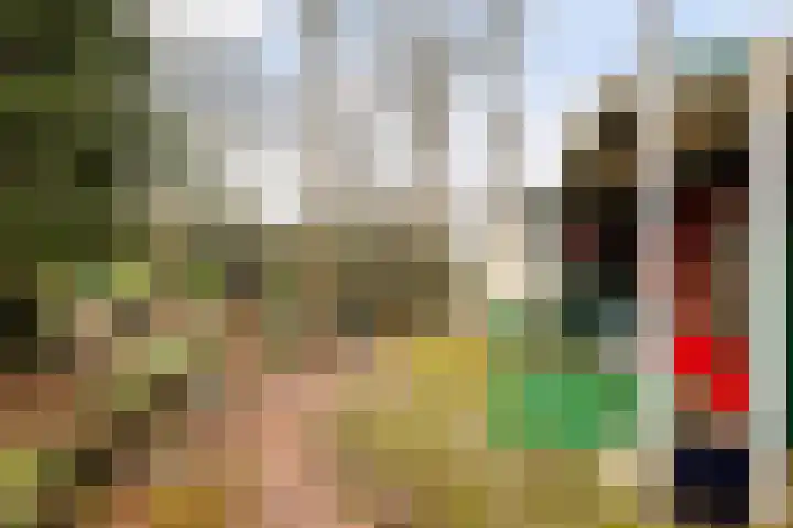 Horsterhof 9 Ermelo thumbnail 41