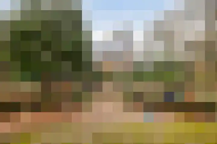 Horsterhof 9 Ermelo thumbnail 45