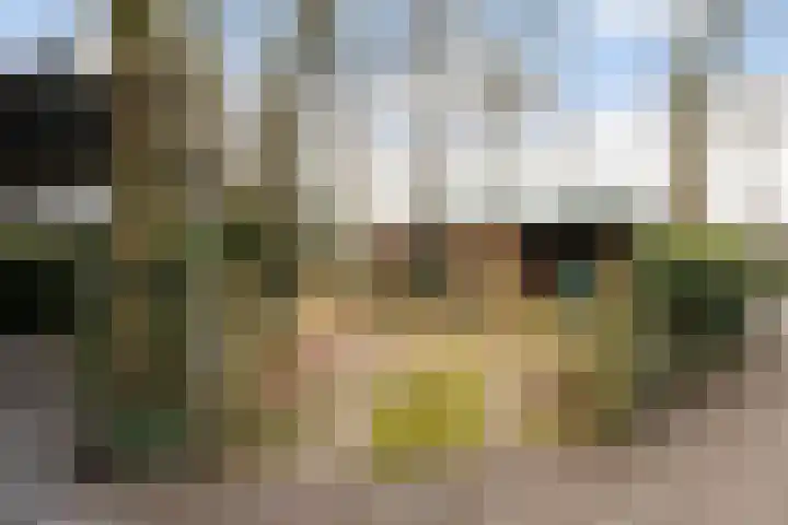 Horsterhof 9 Ermelo thumbnail 48