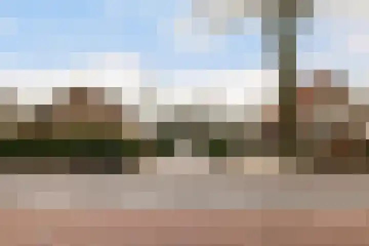 Horsterhof 9 Ermelo thumbnail 49