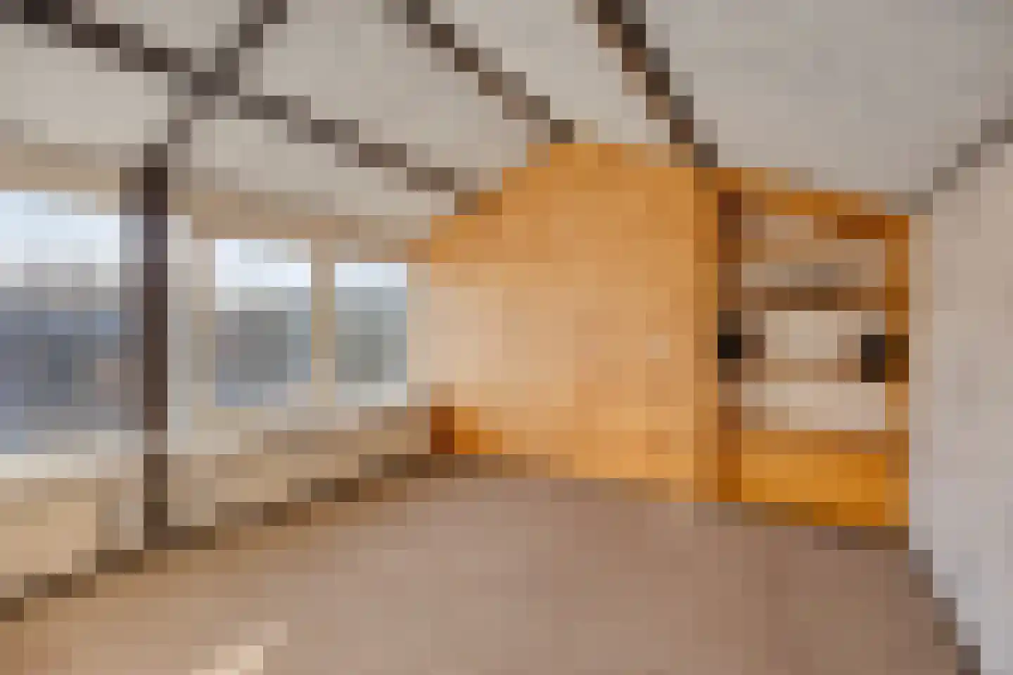 Horstermeerstraat 15 Hoofddorp thumbnail 20