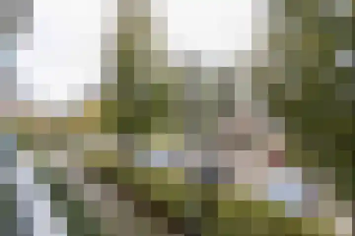 Horstermeerstraat 16 Hoofddorp thumbnail 26