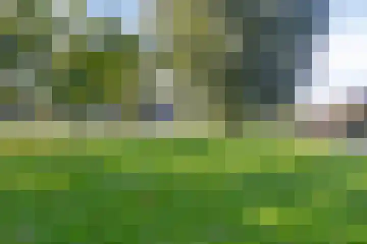 Horstermeerstraat 2 Hoofddorp thumbnail 27