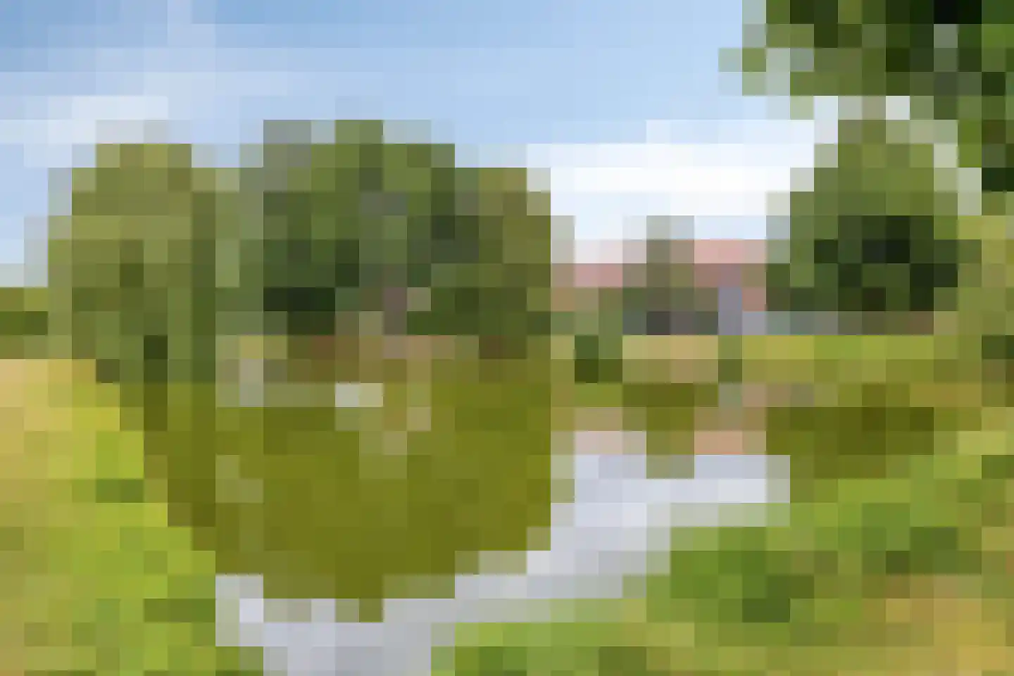 Horstermeerstraat 20 Hoofddorp thumbnail 28