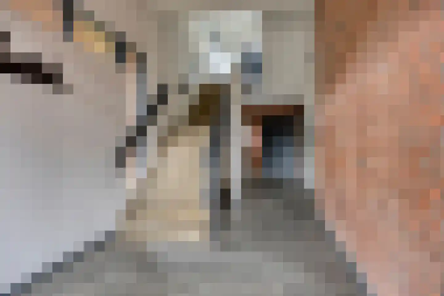 Horstermeerstraat 20 Hoofddorp thumbnail 7