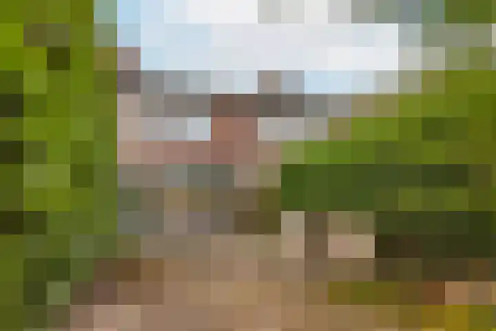 Horsterveste 10 Nieuwegein thumbnail 11