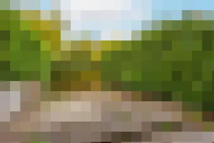 Horsterveste 10 Nieuwegein thumbnail 12