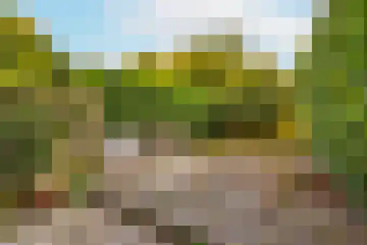 Horsterveste 10 Nieuwegein thumbnail 13