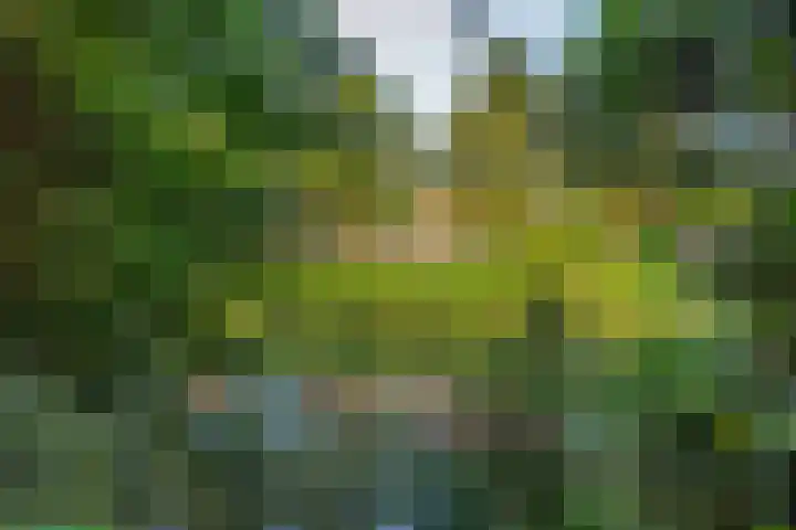 Horsterveste 10 Nieuwegein thumbnail 14