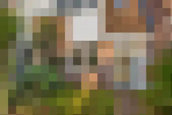 Horsterveste 10 Nieuwegein thumbnail 34